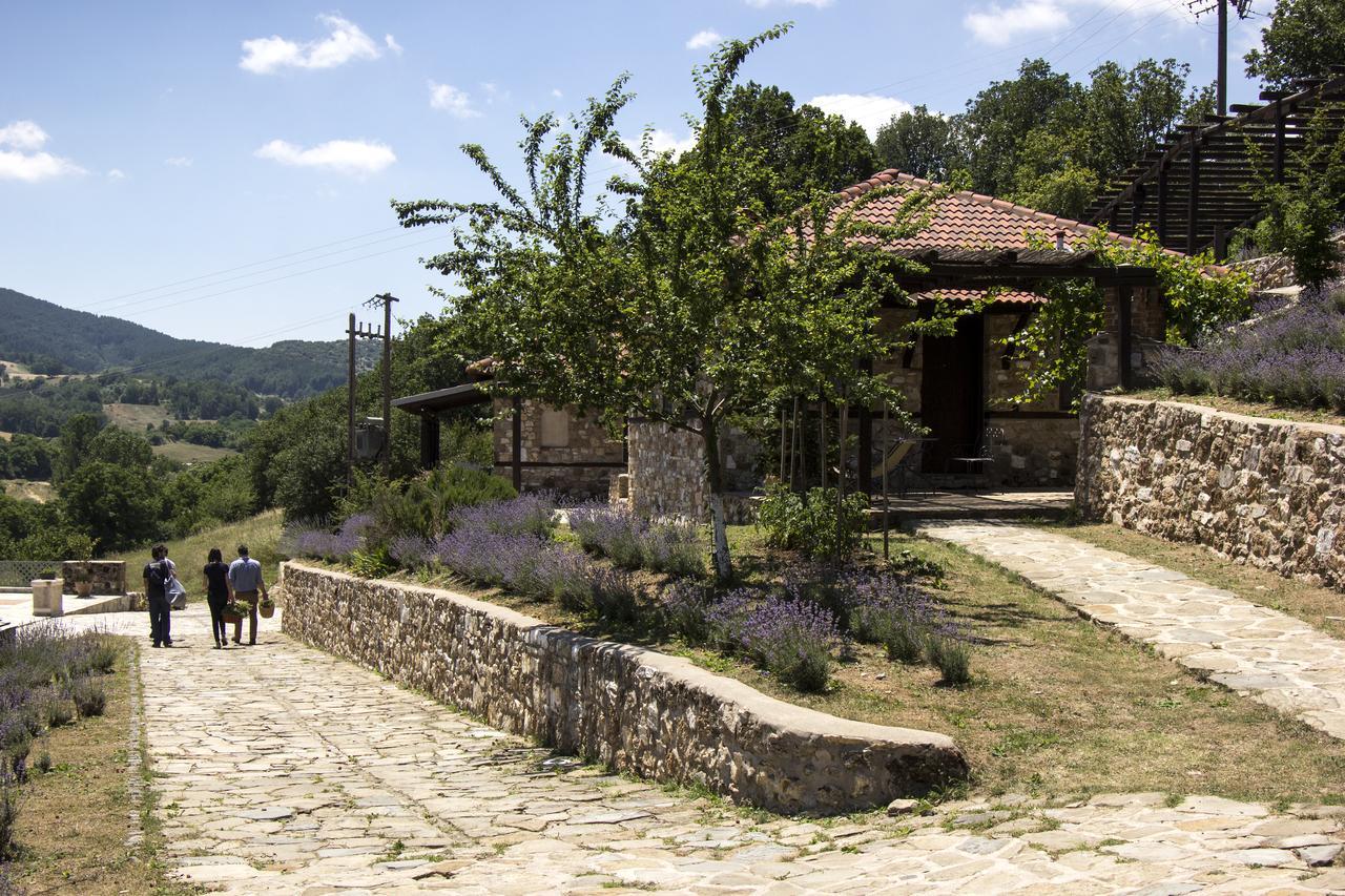 Ktima Bellou Agios Dimitrios  Exterior photo